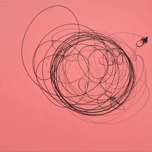 Finitude (BRCA1)