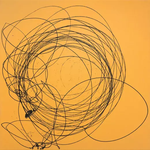 Finitude (BSCL2)