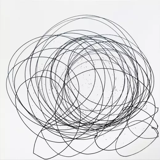 Finitude (EIF5A2)