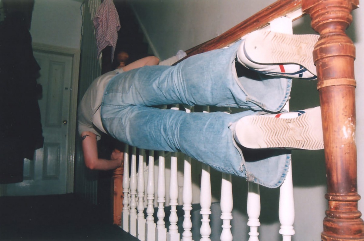 Bannister Snake