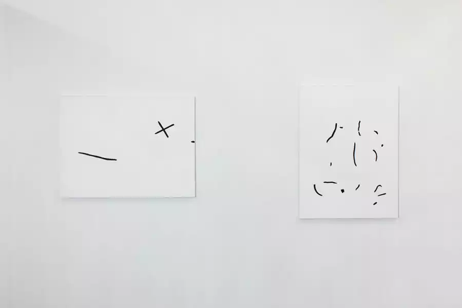 Coddiwomple (installation view)