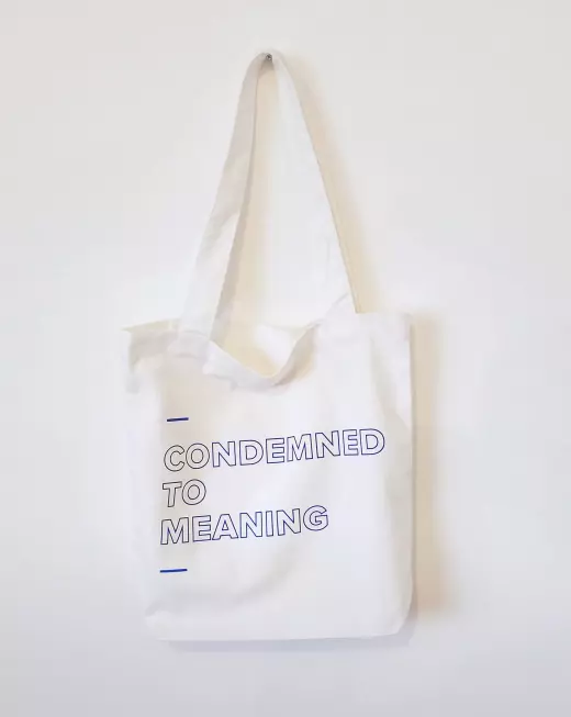 Condemned to Meaning