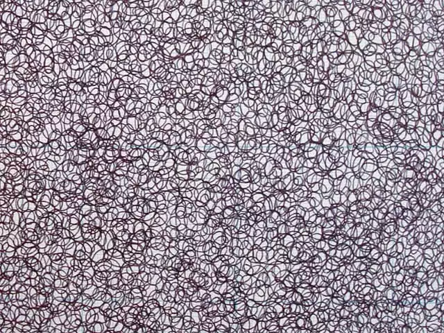 Protracted Scribble (detail)
