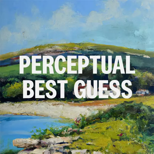 Perceptual Best Guess