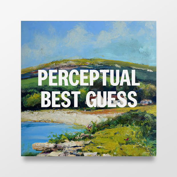 Perceptual Best Guess