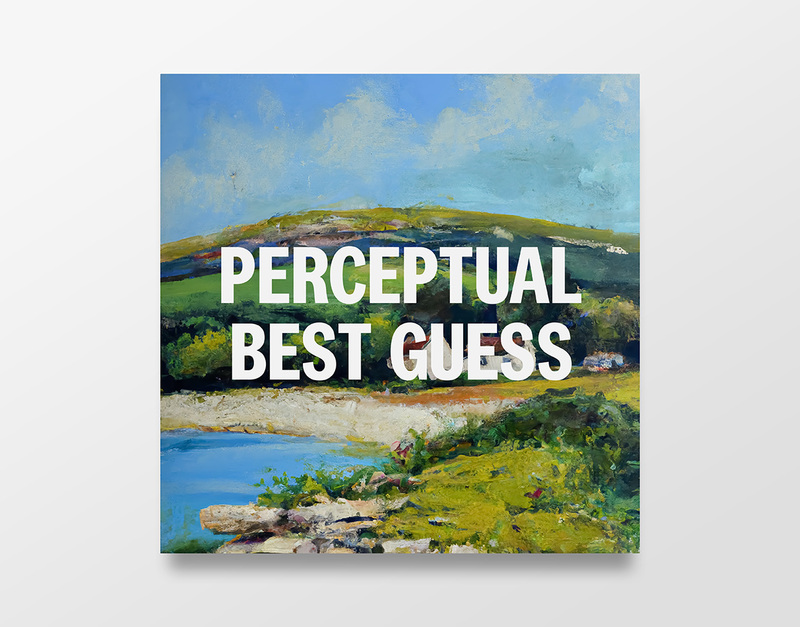 Perceptual Best Guess