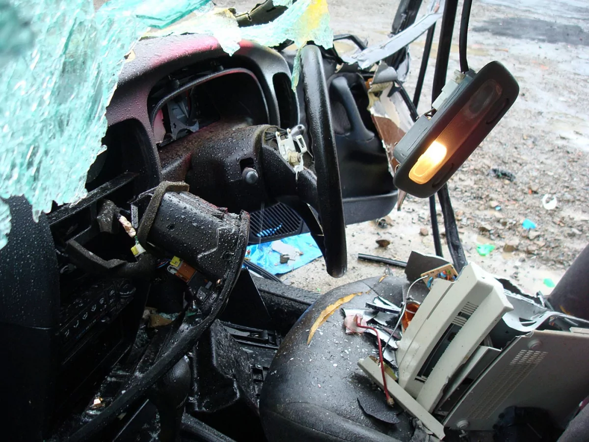 Primera Disaster (detail)