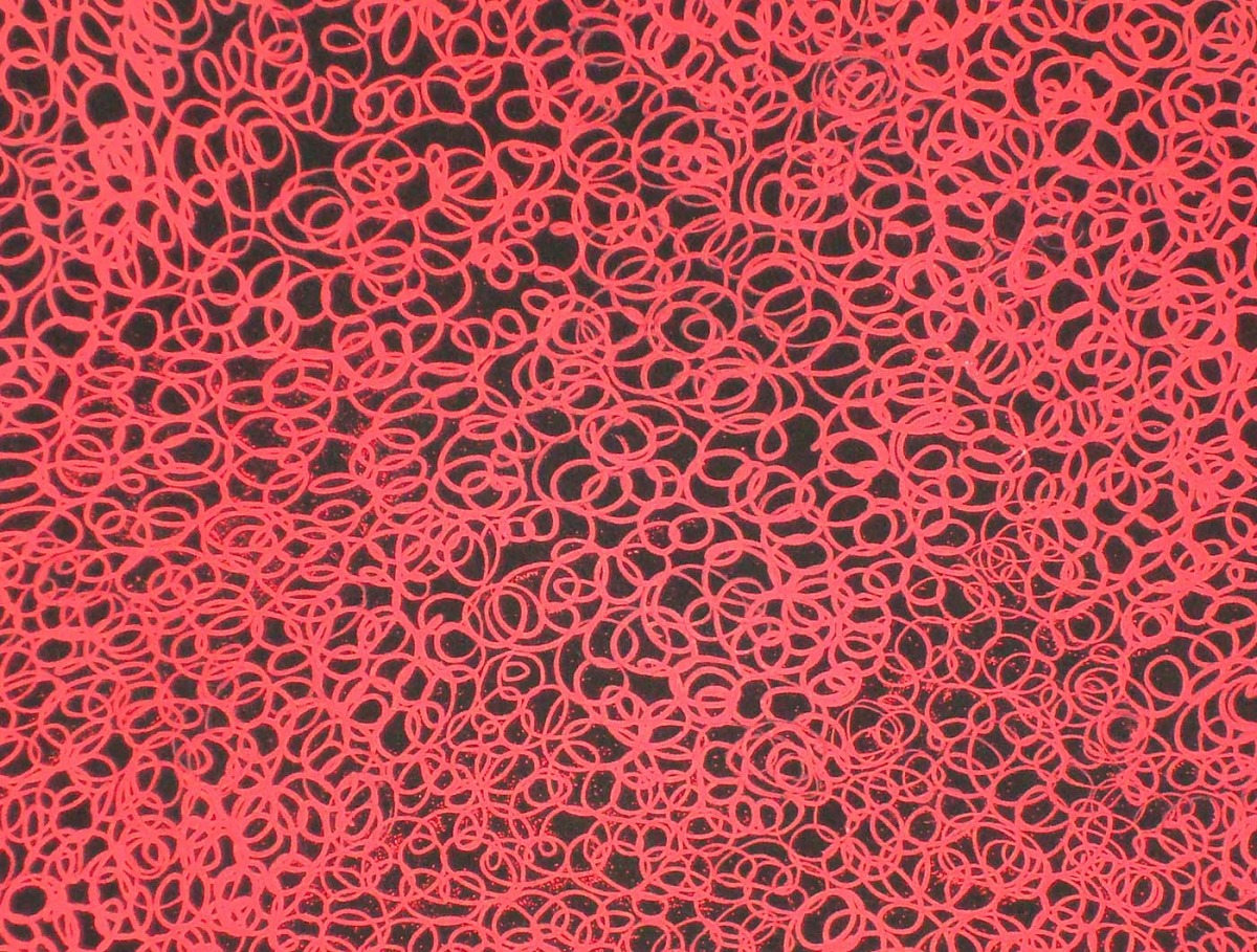Extra fine red scribble filling a black circle (detail)