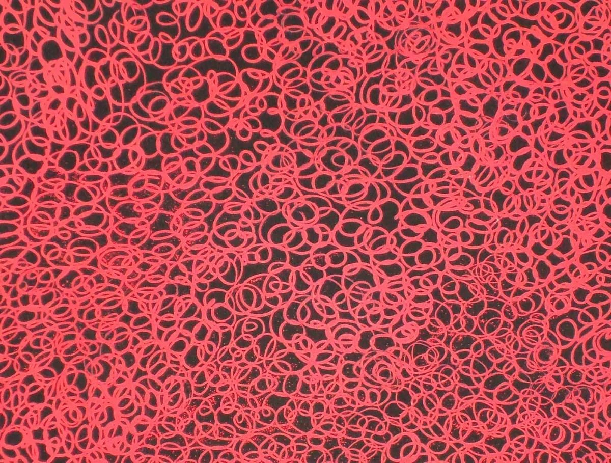 Extra fine red scribble filling a black circle (detail)