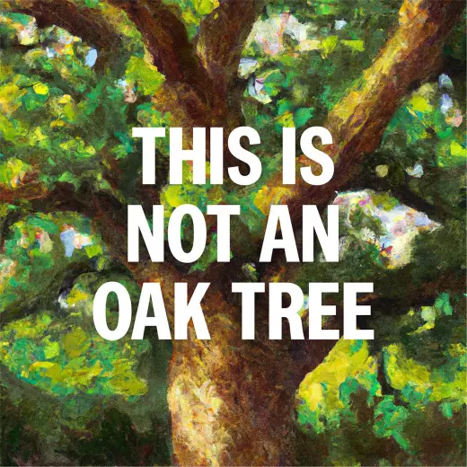 This is Not an Oak Tree